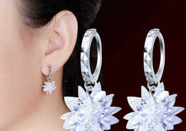 New fashion pure beauty ice 925 silver earrings hypoallergenic non-fading earrings - AMJ Jewelry & Watches Web Store