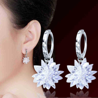 New fashion pure beauty ice 925 silver earrings hypoallergenic non-fading earrings - AMJ Jewelry & Watches Web Store